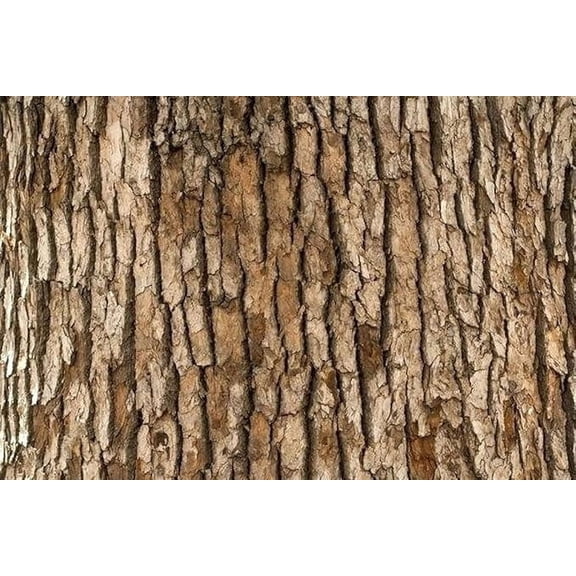 Tree Bark Edible Icing Image Cake Topper, by Tnct.
