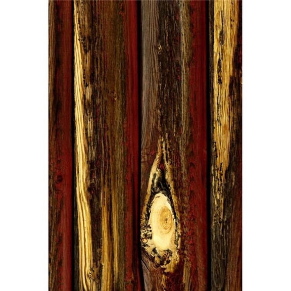 Tree Bark Poster Print by Don Hammond - 11 x 17