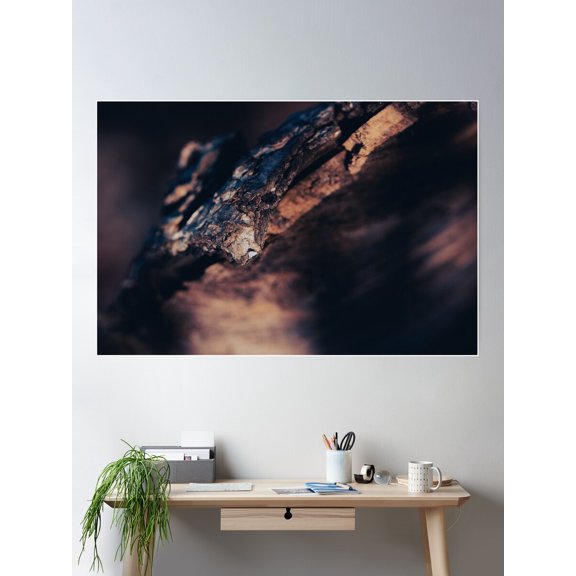 Tree Bark Poster Wall Art, Modern Wall Decor For Living Room Bedroom, 16x24 UNFRAMED
