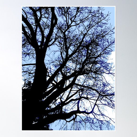 Tree Branch Twig Scary Dark Shadow Scenery Poster Wall Art, Modern Wall Decor, 16x24 UNFRAMED