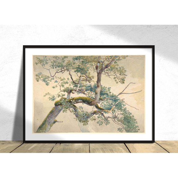 Tree Branches Old Drawing Botanical Rustic Landscape Art, UNFRAMED Size 24x24