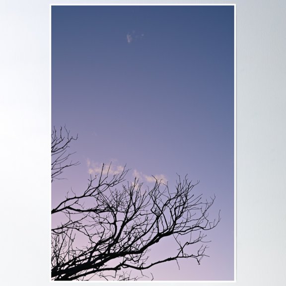 Tree Branchs Poster Wall Art, Modern Wall Decor, 8x12 UNFRAMED