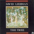 thumbnail image 1 of Tree (CD), 1 of 1