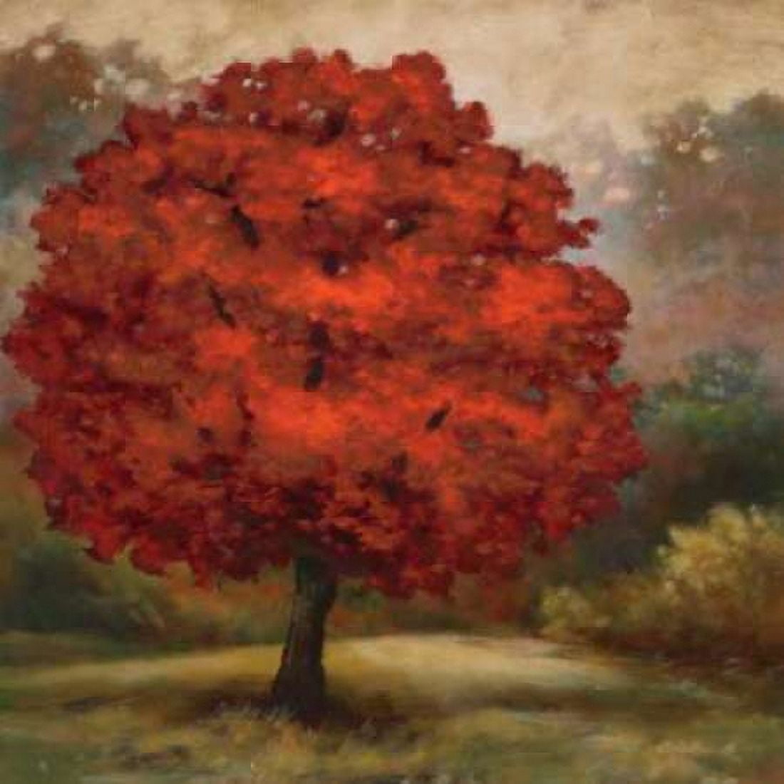 Tree Cast I Canvas Art - Scott Lee (24 x 24)