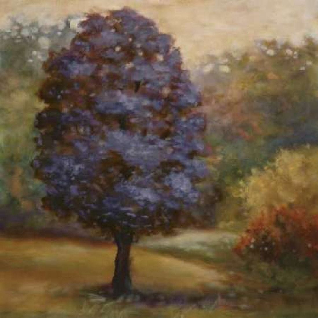 Tree Cast III Canvas Art - Scott Lee (24 x 24)