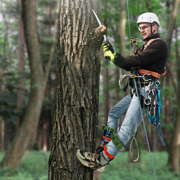 Tree Climbing Gear with Stainless Steel Spikes, Safety Belt & Rope, Easy to Use for Outdoor Activities, Mountaineering, Fruit Picking, and More