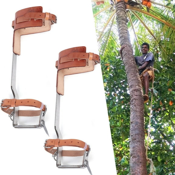 Pair Tree Climbing Spurs Spike Safety Straps Climbing Tool Set Stainless Steel