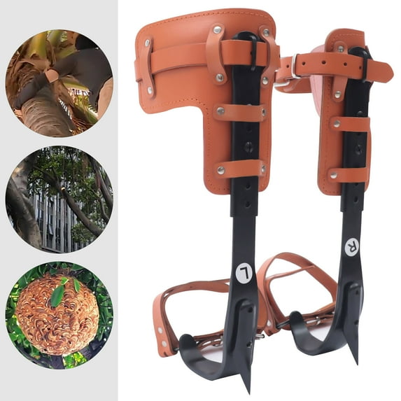 Tree Climbing Spike Set Pole Climbing Spurs Steel Adjustable Climber Strap Gaffs