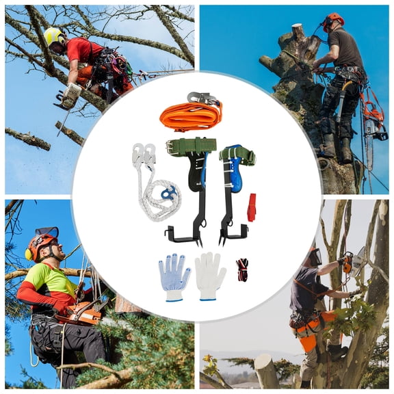 Tree Climbing Spikes Set with Safety Belt & Rope, Heavy Duty Carbon Steel Tree Climbing Spurs, Professional Climbing Gear for Logging, Hunting, Fruit Picking, Outdoor Work (220 Lb Capacity)