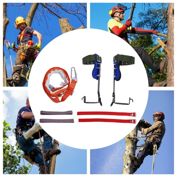 Tree Climbing Spikes Set with Safety Belt, Heavy Duty Steel Tree Spurs Upright Design, Climbing Gaffs for Hunting Fruit Picking Arborist Logging