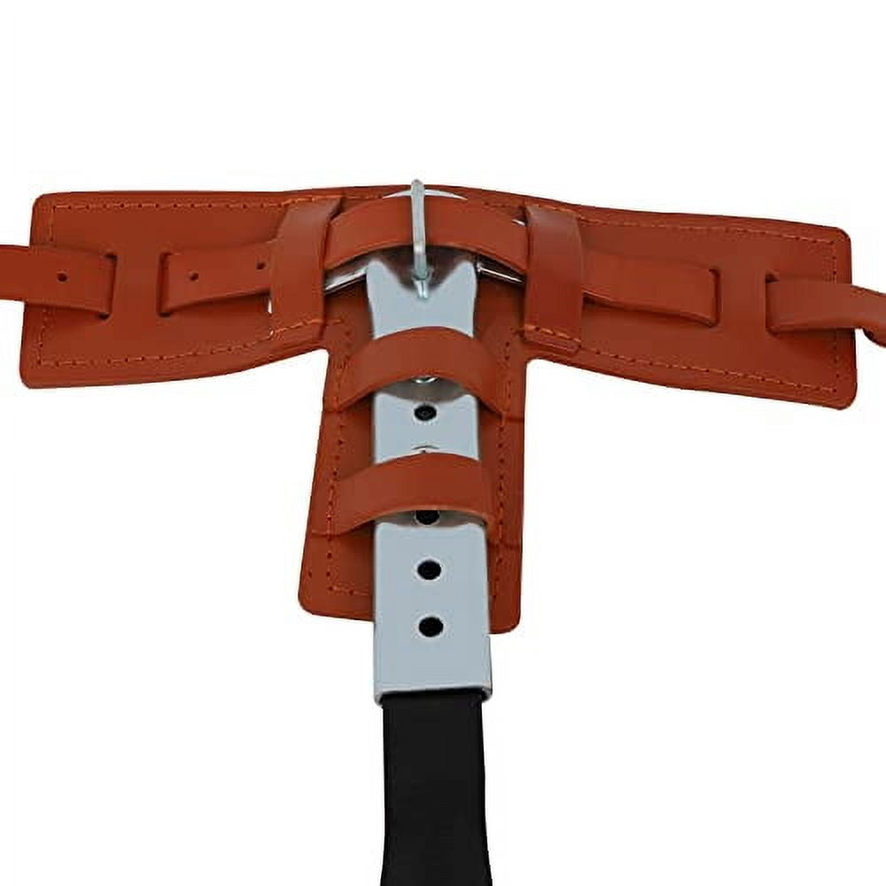 Tree Climbing Spikes, Tree Climbing Gear with Adjustable Climbing Belt ...