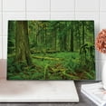 thumbnail image 1 of Tree Cutting Board, Idyllic Rainforest in Canadian Island Ferns Moss on Plant Nature Ecology Photo, Decorative Tempered Glass Cutting and Serving Board, Large Size, Green, by Ambesonne, 1 of 5