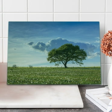 Tree Cutting Board, Tree on a Wide Dandelion Flower Field Fluffy Clouds Summer Getaway Meadow Picture, Decorative Tempered Glass Cutting and Serving Board, Large Size, Green Blue, by Ambesonne