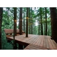 thumbnail image 1 of Tree Deck Plans, 1 of 11