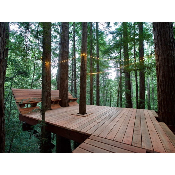 Tree Deck Plans