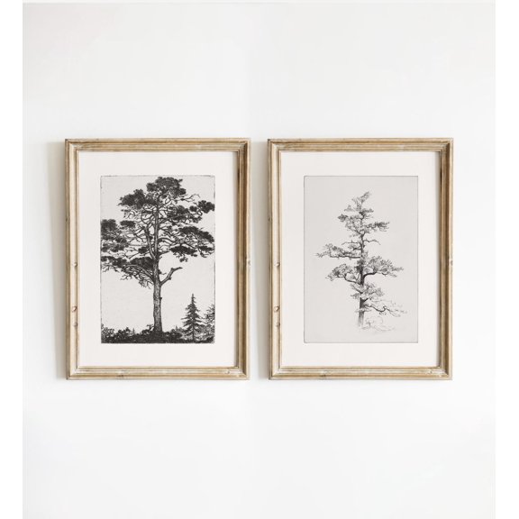Tree Drawing Set of 2 Rural Rustic Sketch Prints Neutral Wall Decor 983 Set 2
