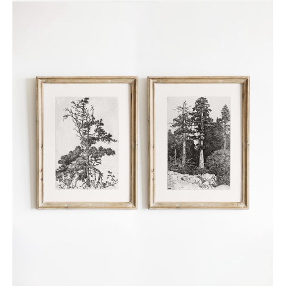 Tree Drawing Set of 2 Rustic Nature Sketch Prints Farmhouse Decor 982 Set 2