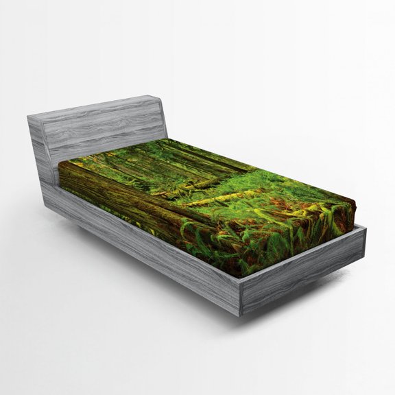 Tree Fitted Sheet, Idyllic Lush Rainforest in Canadian Island with Ferns Moss on Tree Nature Ecology Photo, Soft Decorative Fabric Bedding, Twin Size, Green, by Ambesonne