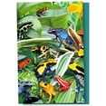 thumbnail image 1 of Tree-Free Greetings All Occasion Greeting Card 12 Pack, 100% Recycled Paper, 4x6, Frogs Frogs Frogs (FS66806), 1 of 3