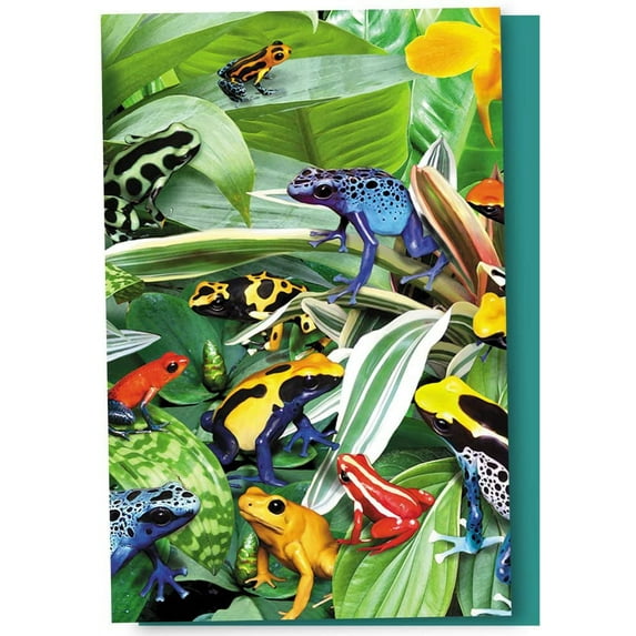 Tree-Free Greetings All Occasion Greeting Card 12 Pack, 100% Recycled Paper, 4x6, Frogs Frogs Frogs (FS66806)