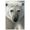 thumbnail image 1 of Tree-Free Greetings All Occasion Greeting Card 12 Pack, 4x6, Polar Bear Face (FS66721), 1 of 1