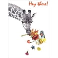 thumbnail image 1 of Tree-Free Greetings Checking in Giraffe Thinking of You Card, 1 of 4