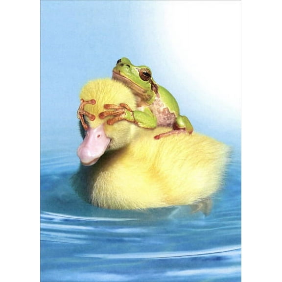 Tree-Free Greetings Duck Duck Frog Funny / Humorous Birthday Card