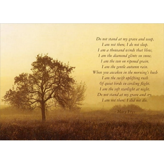 Tree-Free Greetings Forever In Our Hearts Sympathy Card