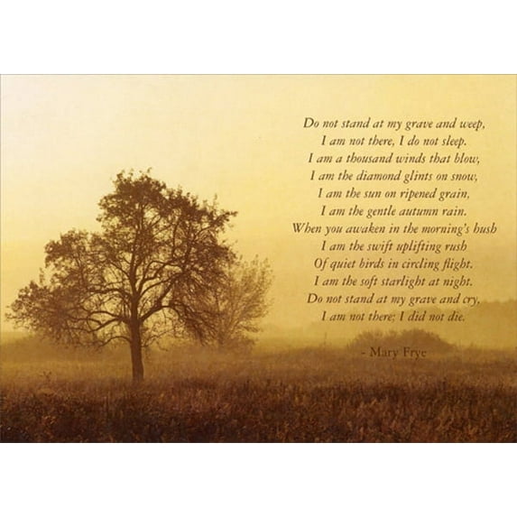 Tree-Free Greetings Forever In Our Hearts Sympathy Card