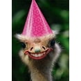 thumbnail image 1 of Tree-Free Greetings Freakishly Happy Ostrich Funny / Humorous Birthday Card, 1 of 4