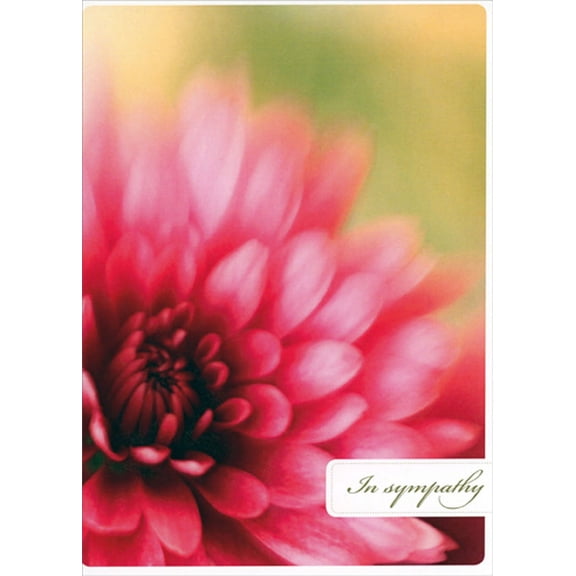 Tree-Free Greetings Large Pink Flower Closeup : Comfort and Peace Sympathy Card