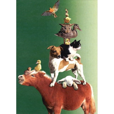 Tree-Free Greetings Piled High Funny / Humorous Birthday Card