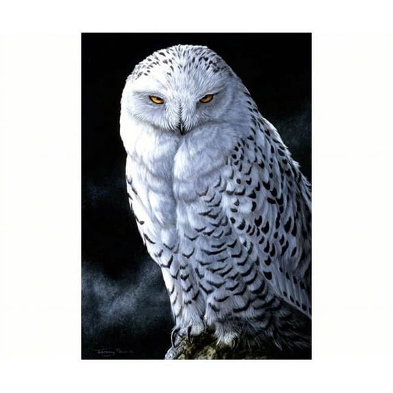 Tree-Free Greetings TFG12480 Snowy Owl Blank