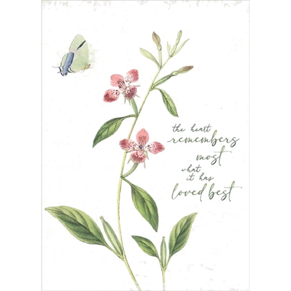 Tree-Free Greetings The Heart Remembers Most What It Has Loved Best Sympathy Card