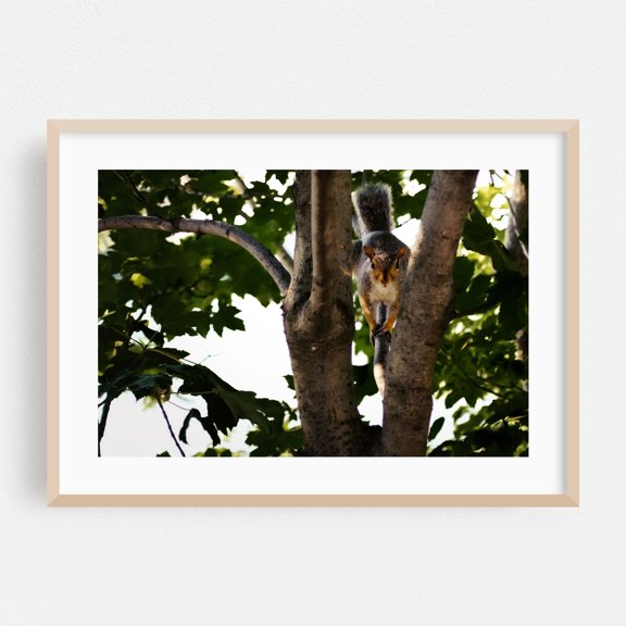 Tree Friend - Queens New York Photography Oak Framed Wall Art Print 24 x 36 inches