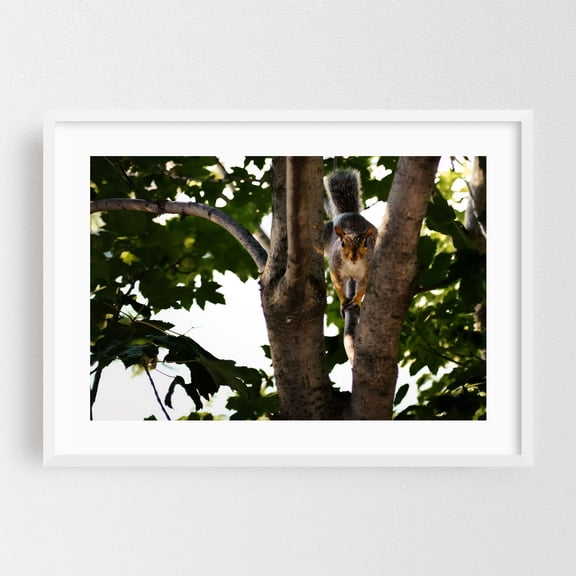Tree Friend - Queens New York Photography White Framed Wall Art Print 12 x 18 inches