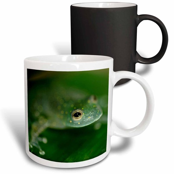 3drose, Tree Frog, 11oz Magic Transforming Mug