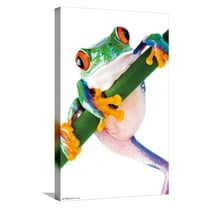 Tree Frog Canvas Wall Poster, 14.725" x 22.375"