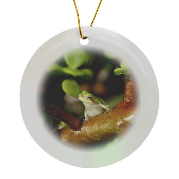 3drose, Tree Frog Looking Sideways in Bonsai, Circle Porcelain Ornament