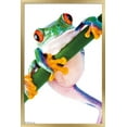 thumbnail image 1 of Tree Frog Wall Poster, 22.375" x 34", Framed, 1 of 3