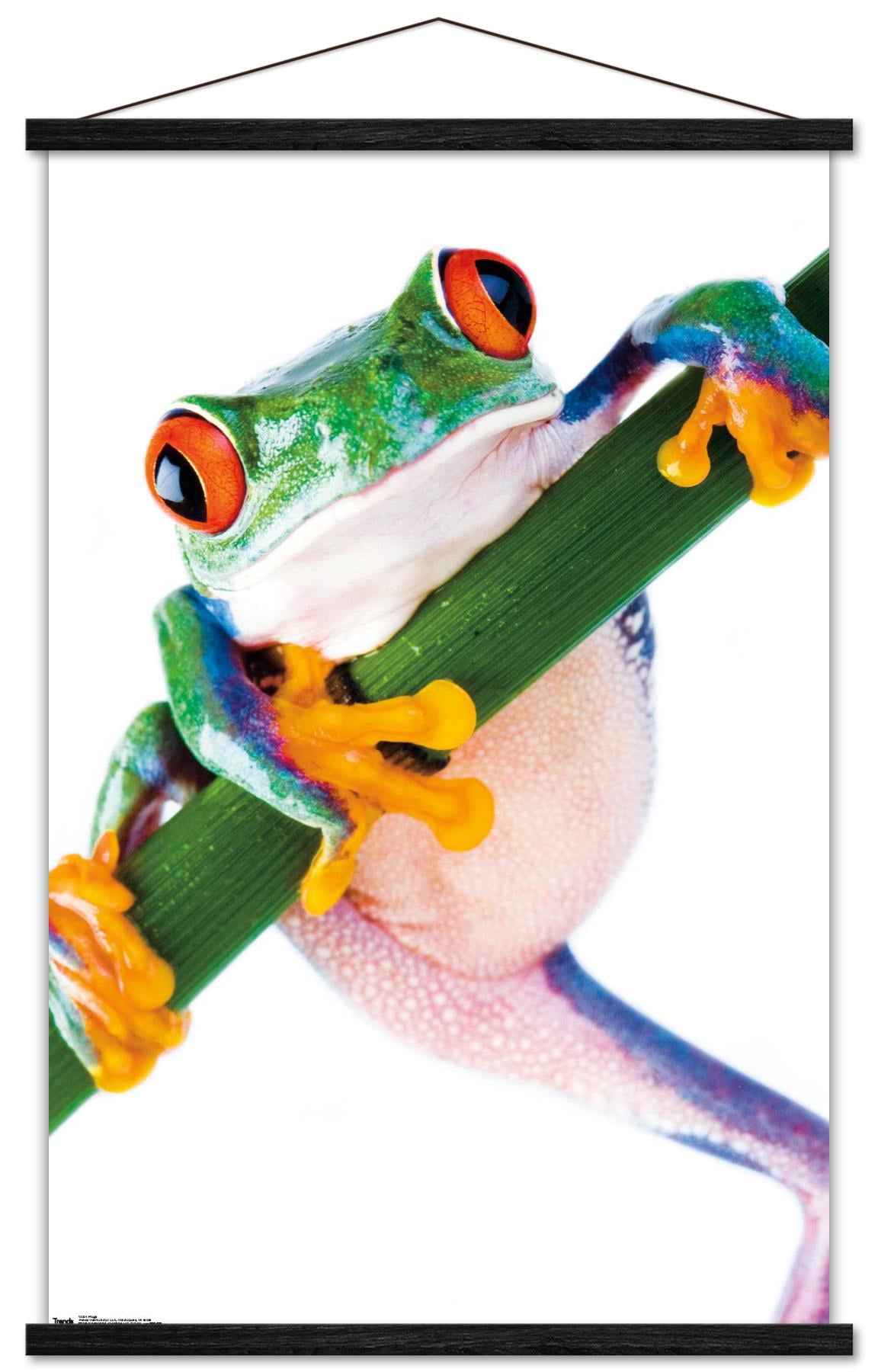 Tree Frog Wall Poster with Wooden Magnetic Frame, 22.375" x 34"