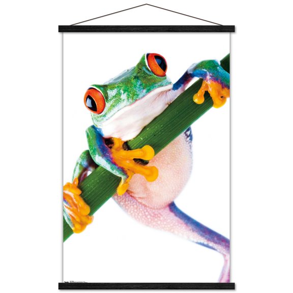 Tree Frog Wall Poster with Wooden Magnetic Frame, 22.375" x 34"