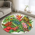 Posen Tree Tree Frogs Area Rug, Tropical Poison Dart Frogs Hibiscus Flower Palm ...