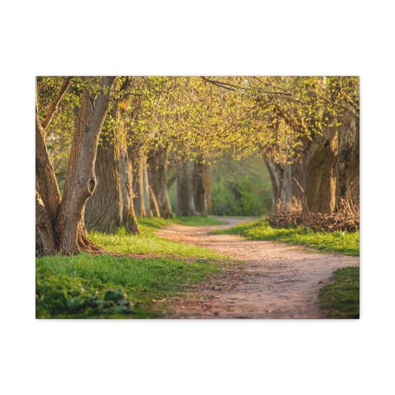 Tree Green Path Forest Nature Wilderness Photography Canvas Wall Art for Home Decor Ready-to-Hang