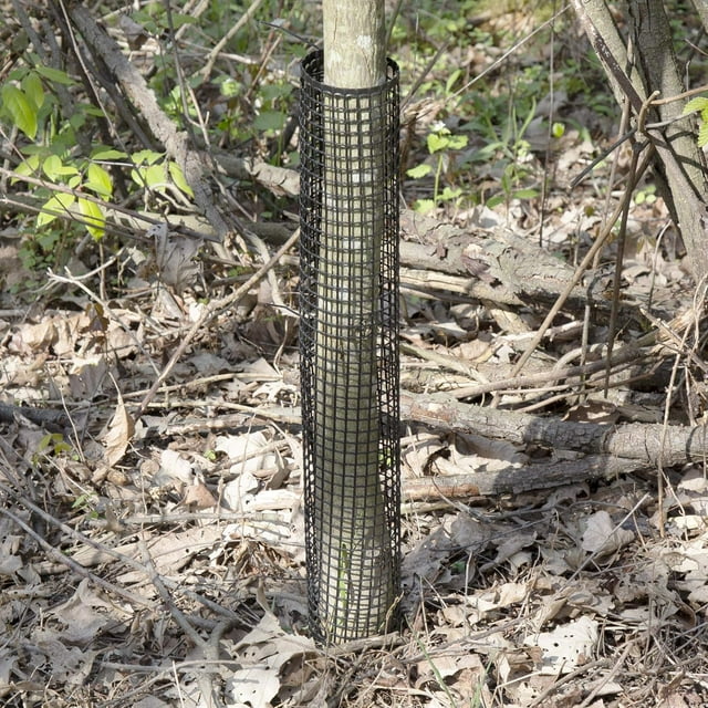 Tree Guard Pack | Plastic Mesh Tree or | Deer Guard | 24