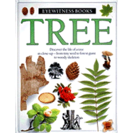 Tree (Hardcover) by David Burne