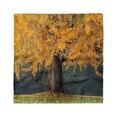 thumbnail image 1 of Tree Head Scarf, Leaves Tree Autumn Season, Head Wrap, 3 Sizes, by Ambesonne, 1 of 2