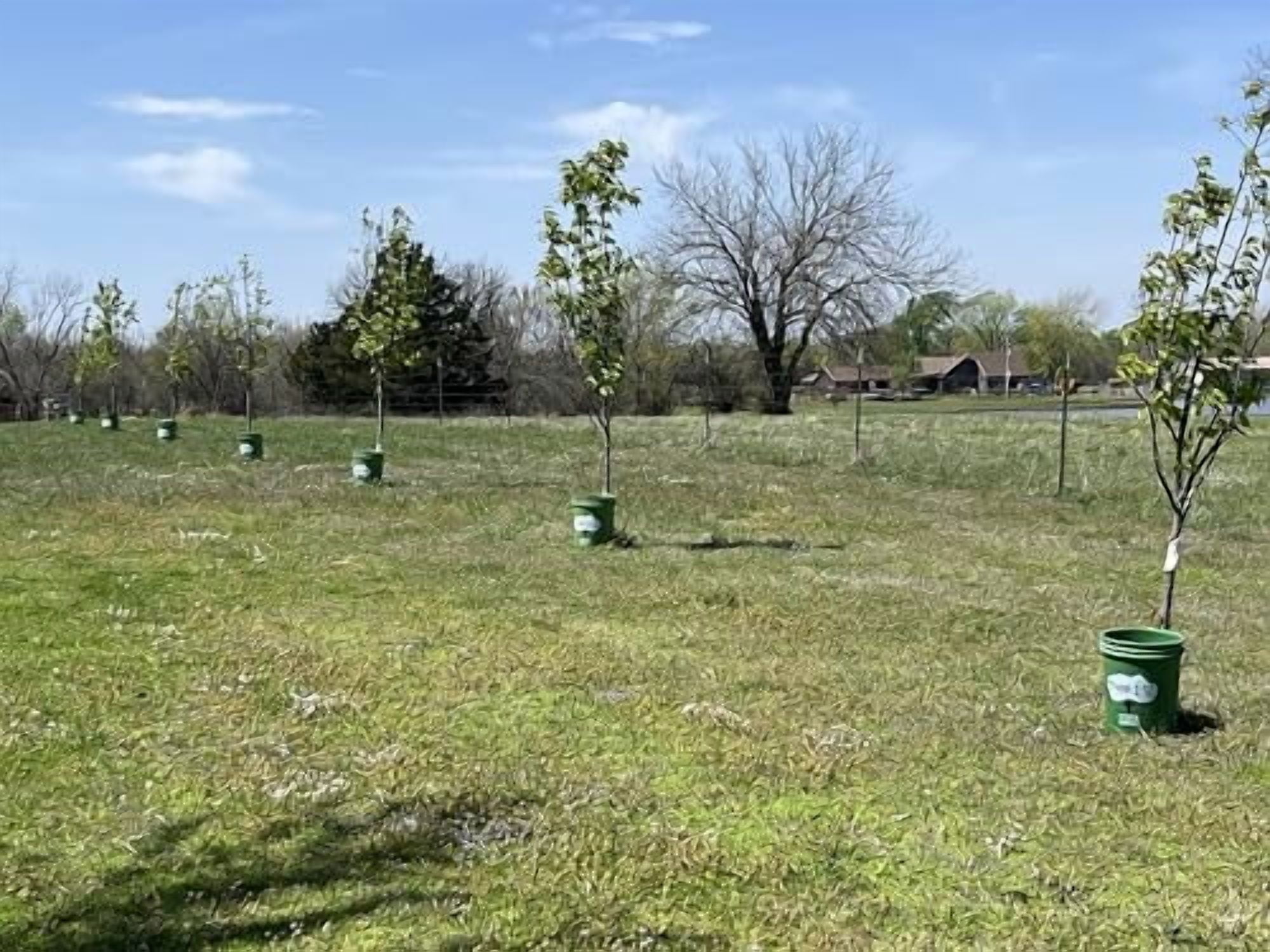 Tree I-V 6-pk Deep Root Development Watering System & Feeder - Walmart.com