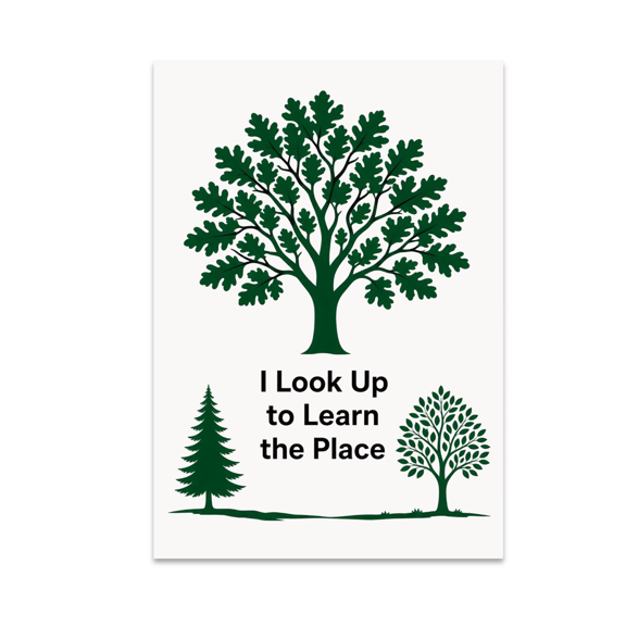 Tree Identification - Nature Observer - 13x19 Poster Print
