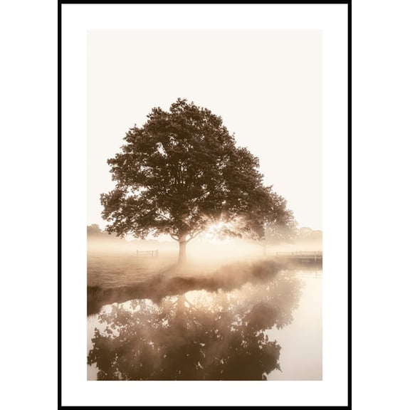 Tree In The Mist Poster Wall Art, Modern Wall Decor For Living Room Bedroom, 8x12 UNFRAMED